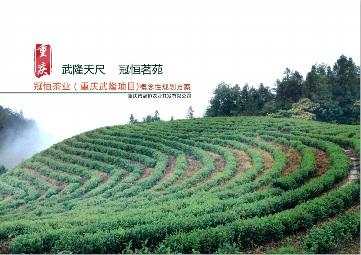 重慶冠恒項(xiàng)目規(guī)劃概念