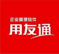 用友軟件VI